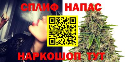 ALPHA PVP Моздок