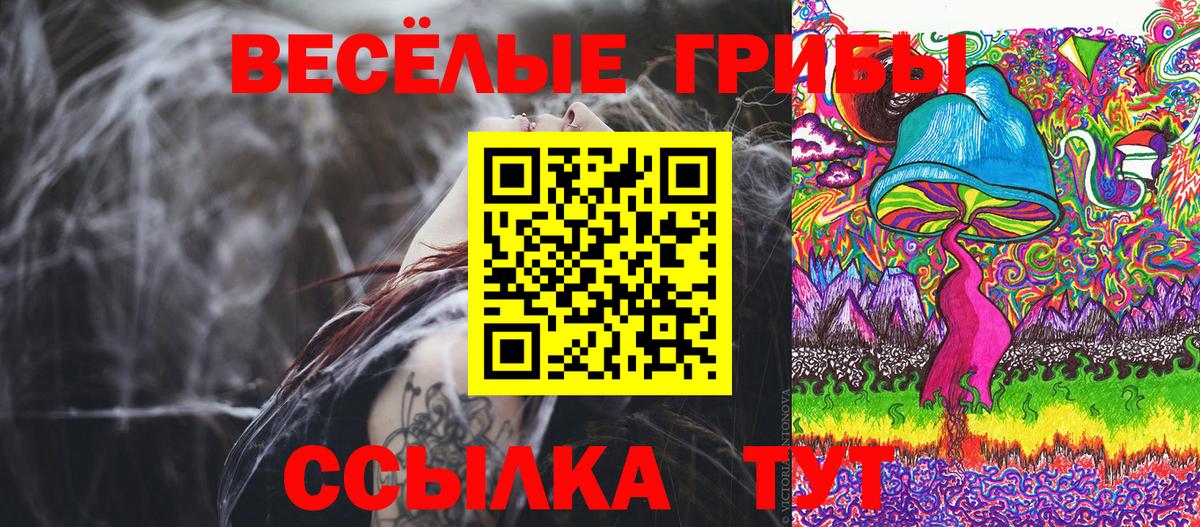 Рязань  Псилоцибиновые грибы Cubensis  Вход с VPN 